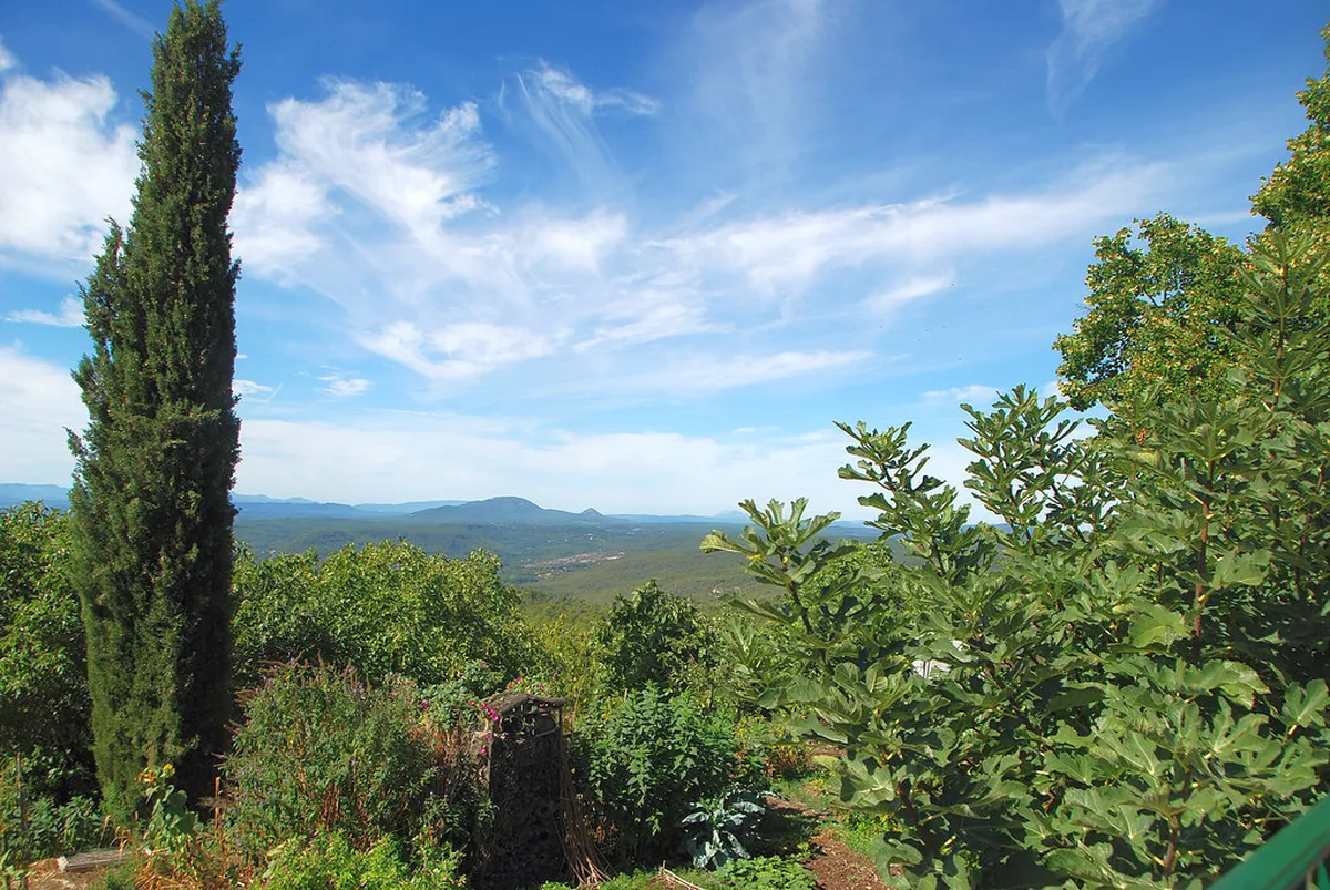 Best Time to Visit Plzeň Cathedral Tower: A Guide